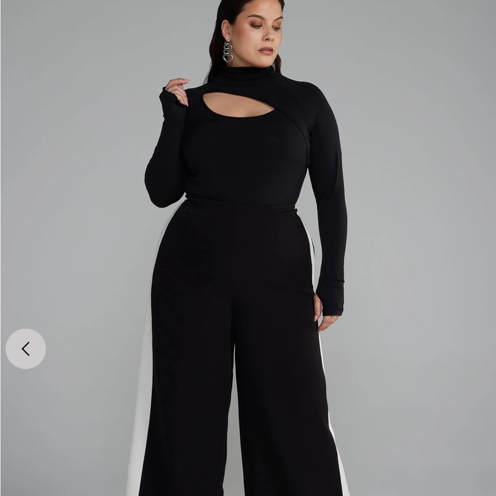 FTF wide leg trousers pants size 2 NWT